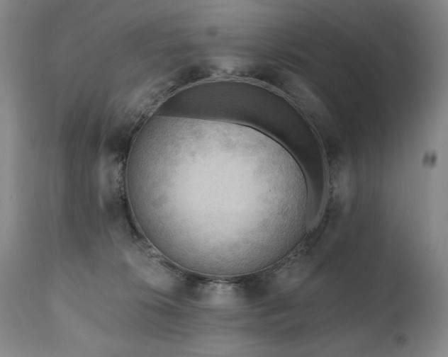 X0000111040276200906251409