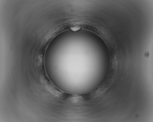 X0000111040278200906251409