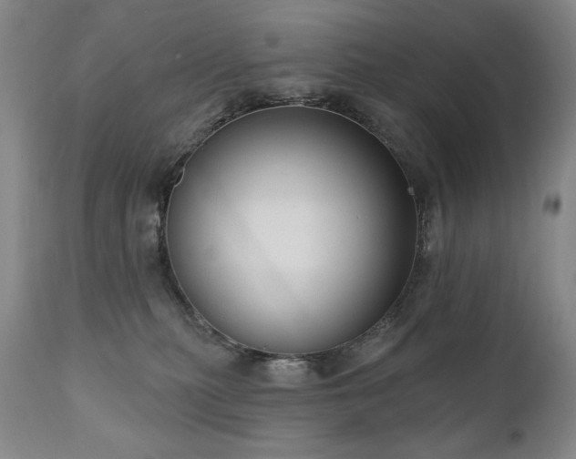X0000111040279200906251409