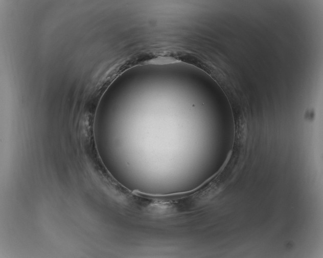 X0000111040280200906251409