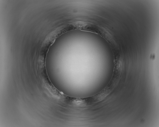 X0000111040283200906251409