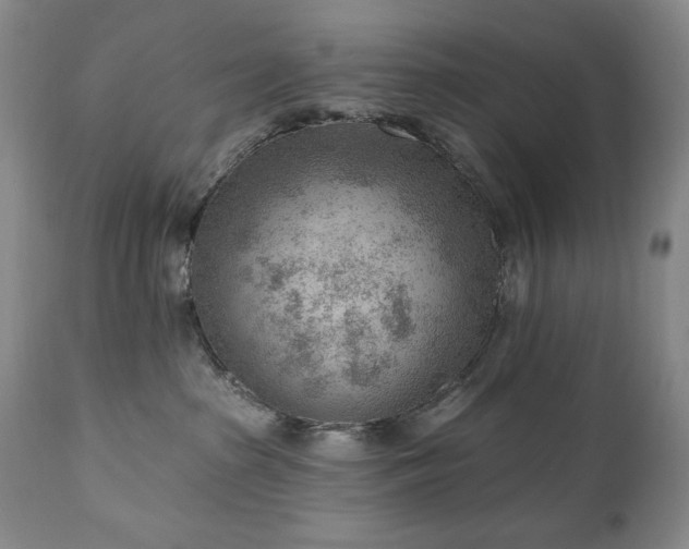 X0000111040285200906251409