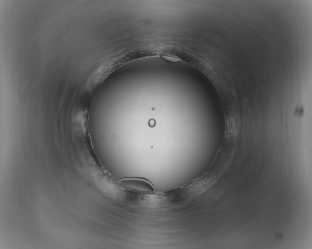 X0000111040286200906251409