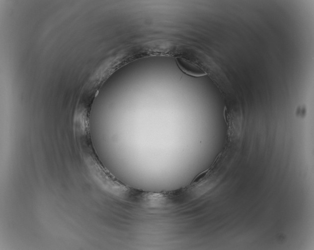 X0000111040287200906251409