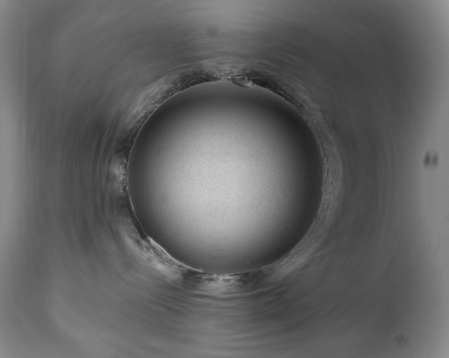 X0000111040288200906251409
