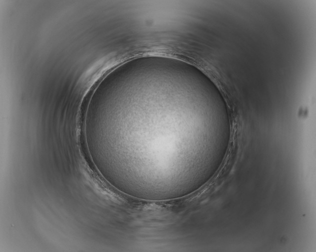 X0000111040290200906251408