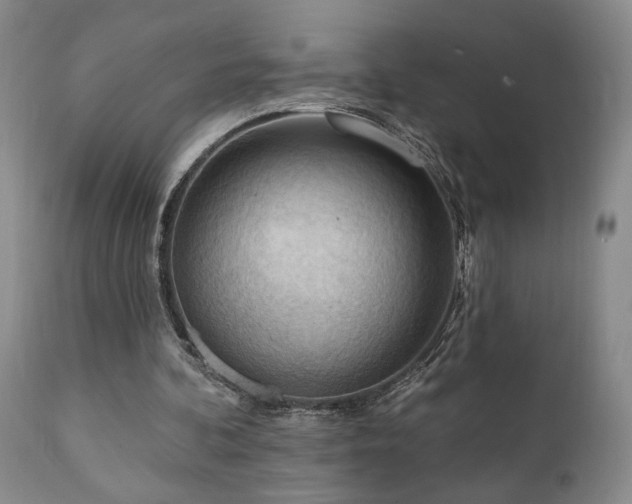 X0000111040292200906251408
