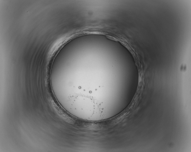 X0000111040293200906251408