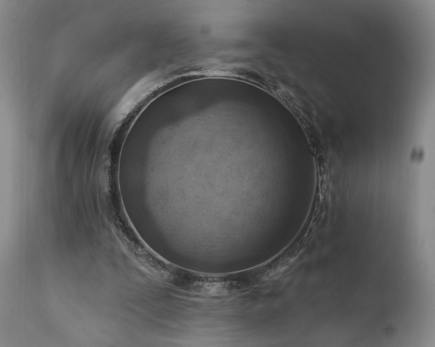 X0000111040295200906251408