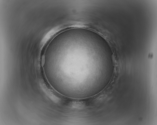 X0000111040296200906251408