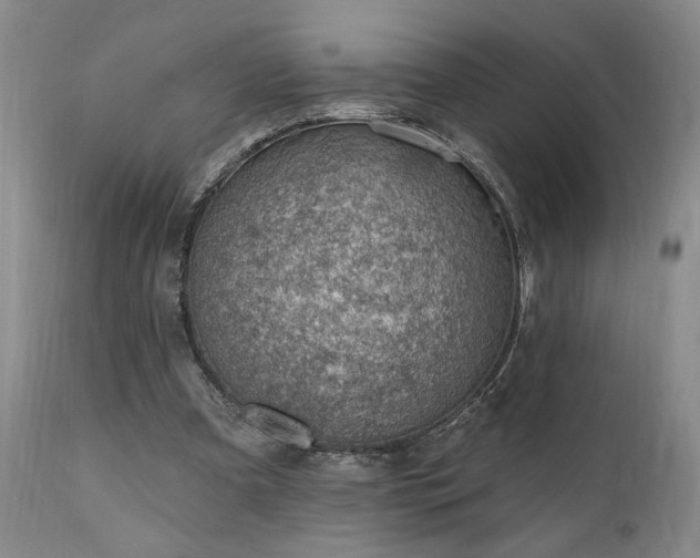 X0000111040297200906251408