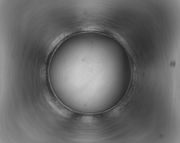 X0000111040298200906251408