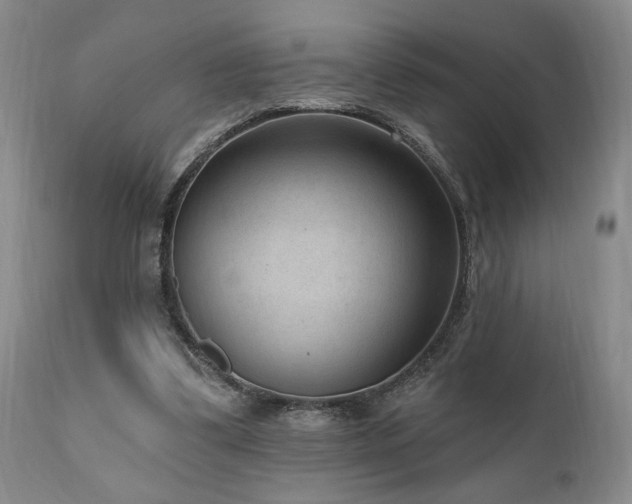 X0000111040299200906251408