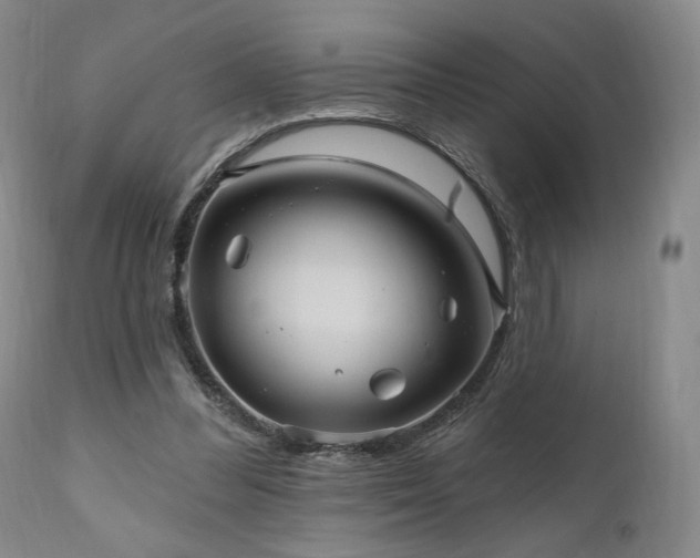 X0000111040300200906251408