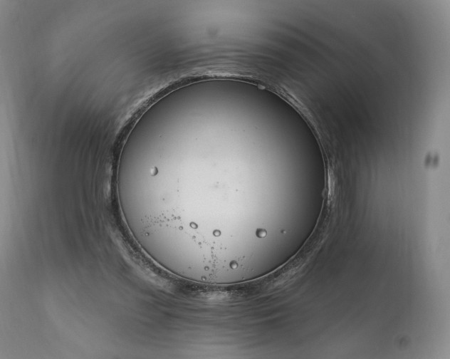 X0000111040301200906251408
