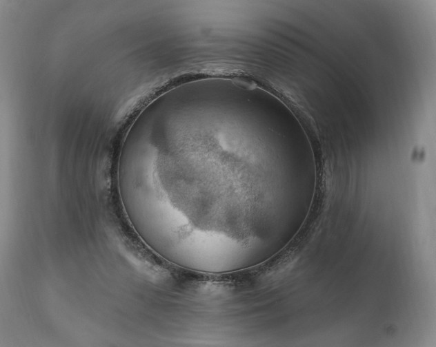 X0000111040303200906251408