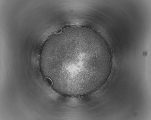 X0000111040305200906251408