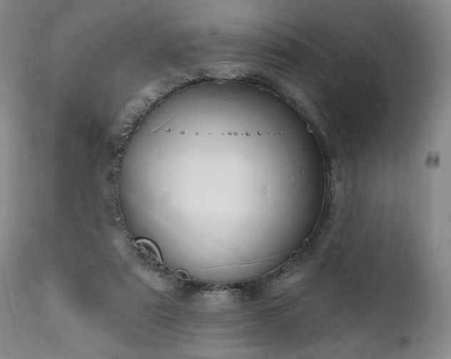 X0000111040307200906251408