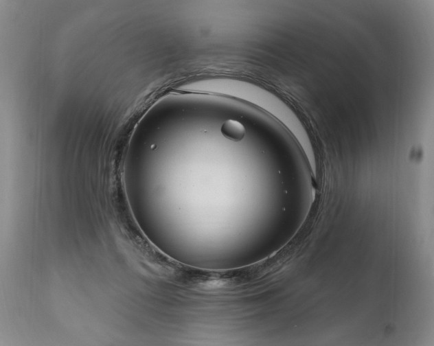 X0000111040312200906251408