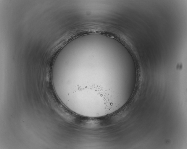 X0000111040313200906251408