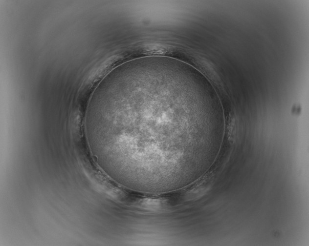 X0000111040314200906251408