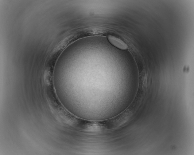 X0000111040316200906251408