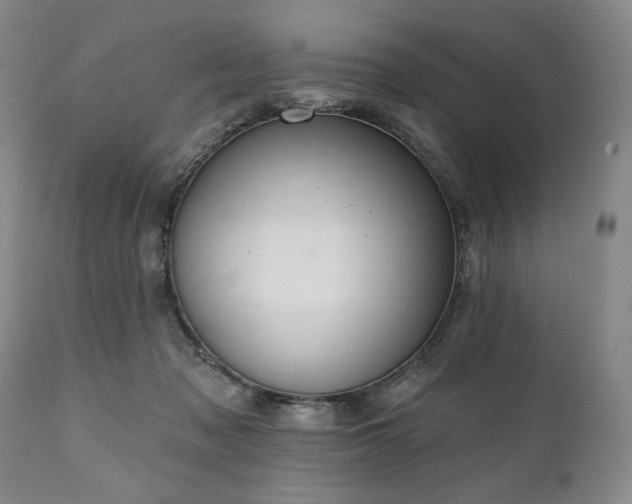 X0000111040317200906251408