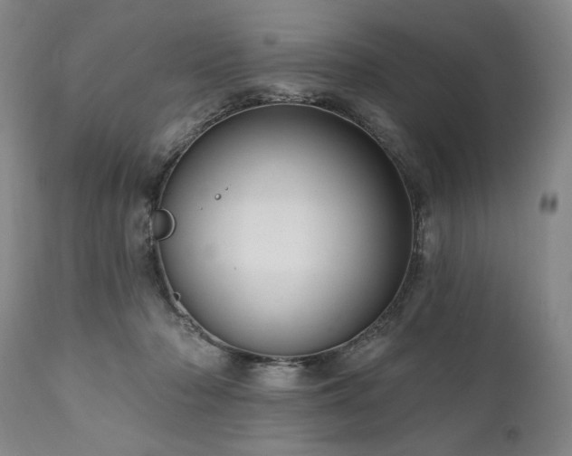 X0000111040318200906251408