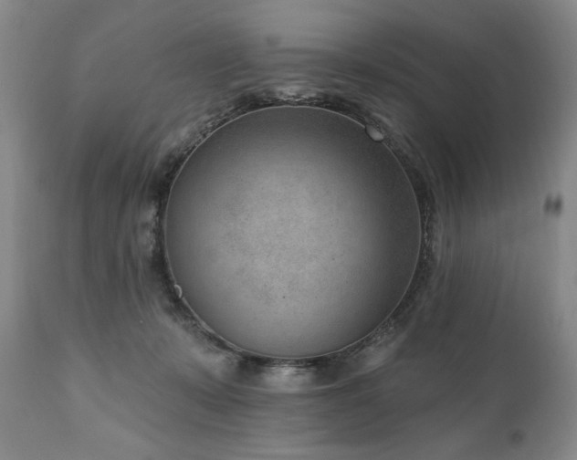 X0000111040319200906251408