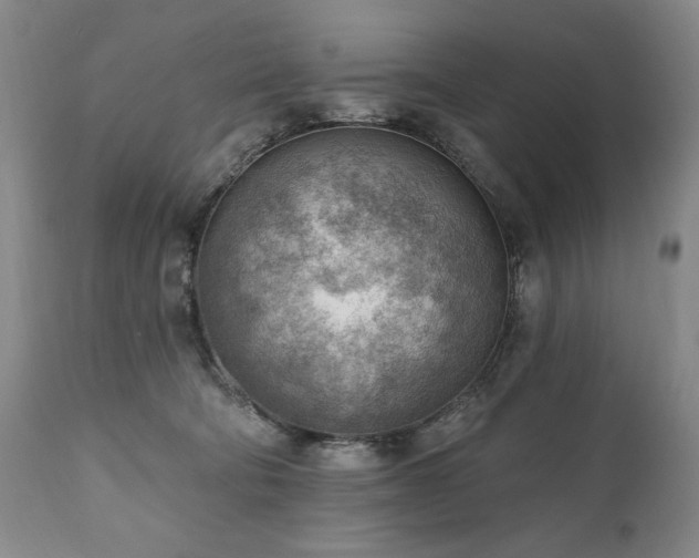 X0000111040322200906251408