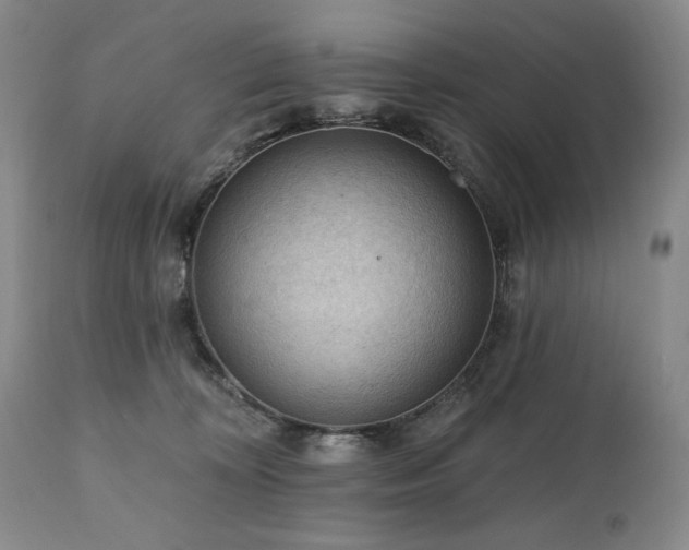 X0000111040324200906251408