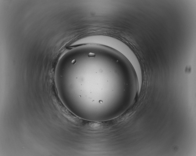X0000111040325200906251408