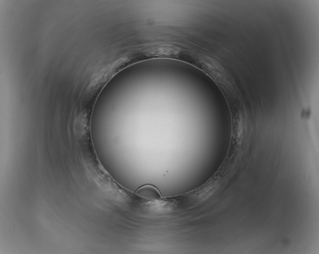 X0000111040326200906251408