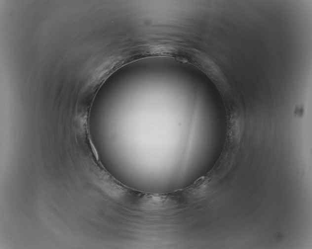 X0000111040329200906251408