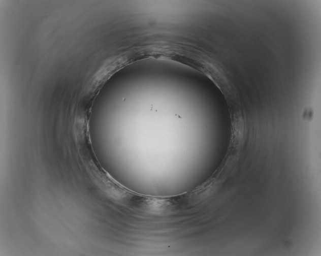 X0000111040333200906251408