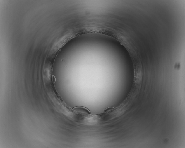 X0000111040334200906251408