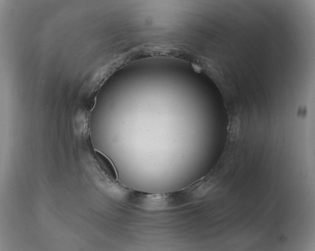 X0000111040335200906251408