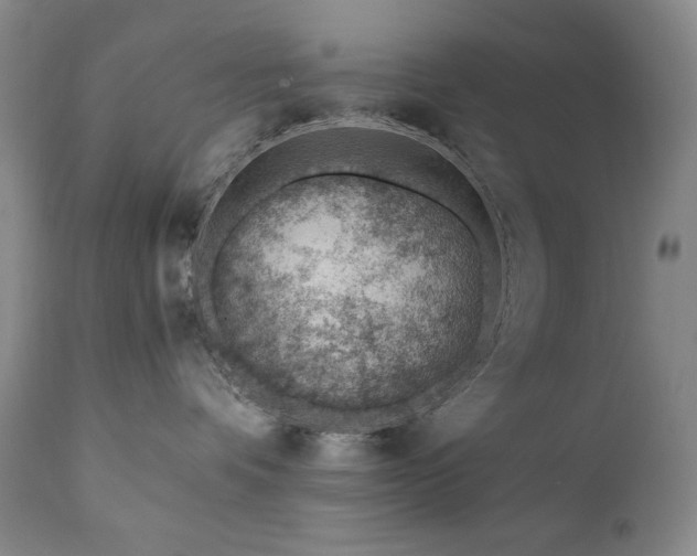 X0000111040336200906251408