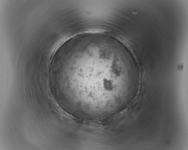 X0000111040337200906251407