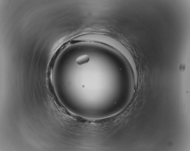 X0000111040340200906251407