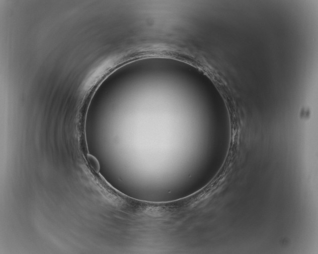 X0000111040341200906251407