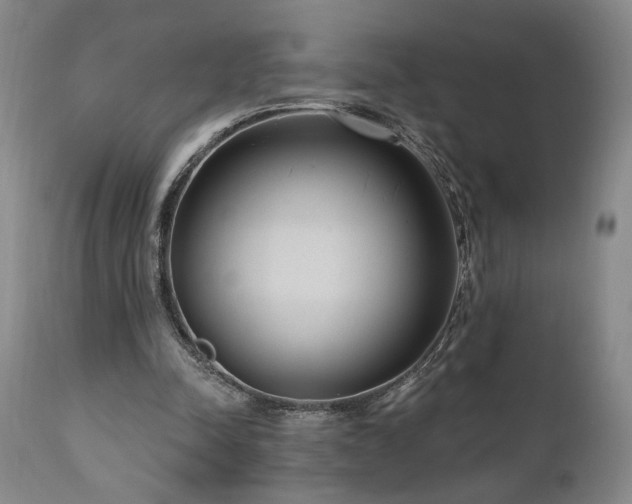 X0000111040342200906251407