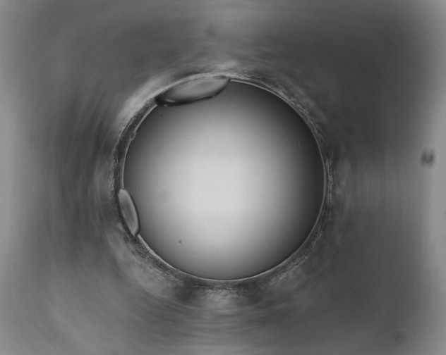 X0000111040344200906251407