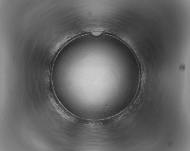 X0000111040345200906251407