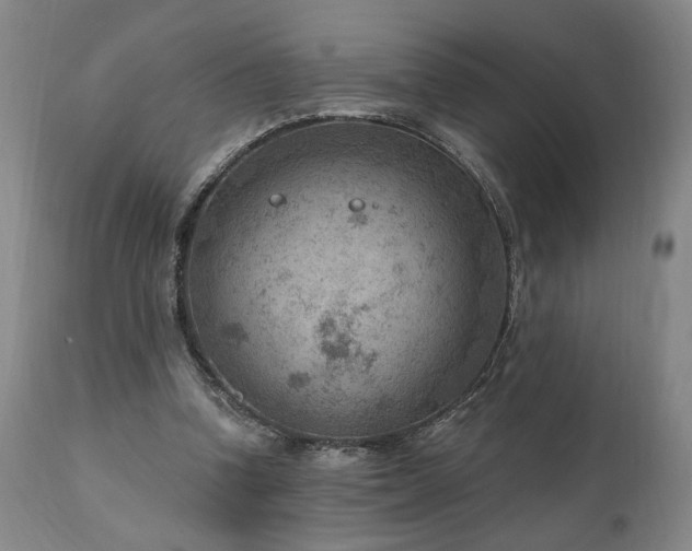 X0000111040346200906251407
