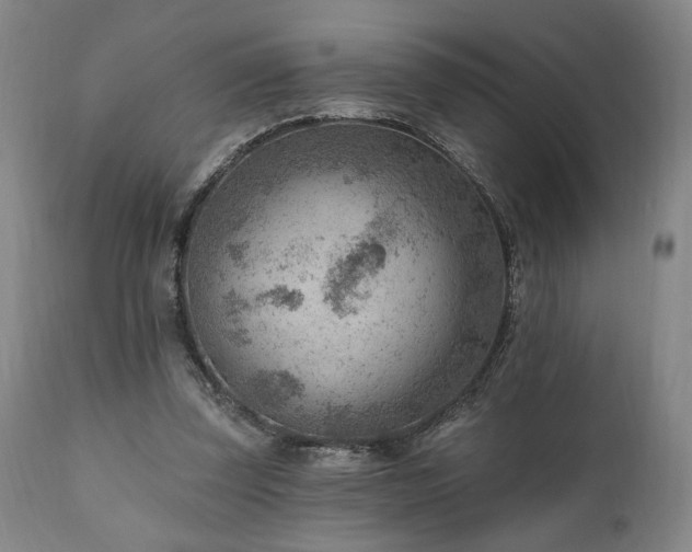 X0000111040347200906251407