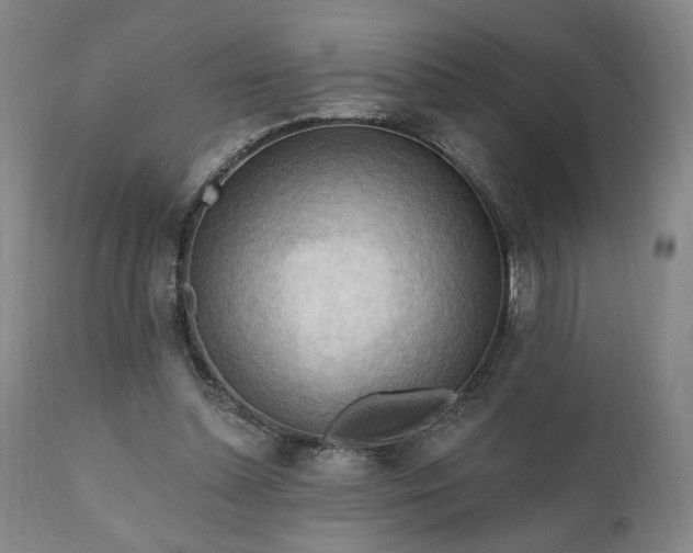 X0000111040348200906251407