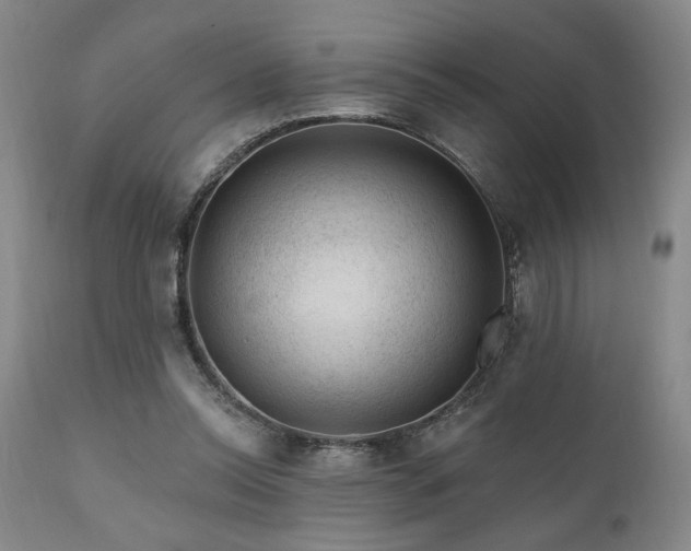 X0000111040350200906251407