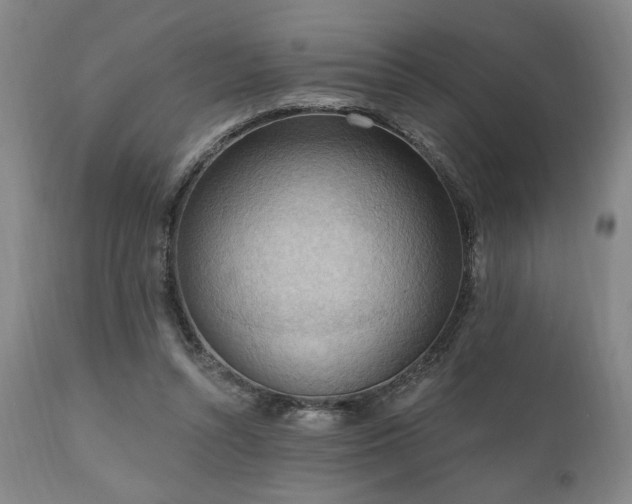 X0000111040352200906251407