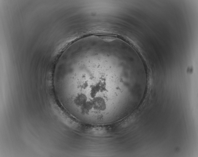 X0000111040353200906251407